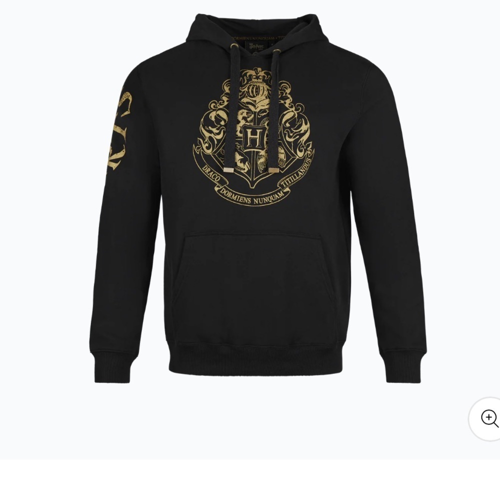 Harry Potter Hogwarts Wizarding World Limited Edition Hoodie